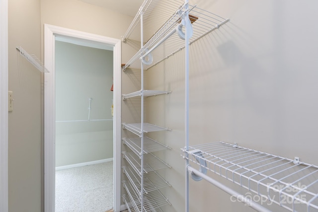 spacious closet featuring carpet floors