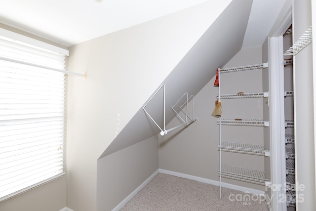 walk in closet with carpet and lofted ceiling