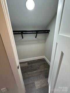 spacious closet featuring dark hardwood / wood-style flooring