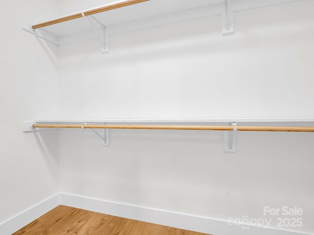 spacious closet with wood-type flooring