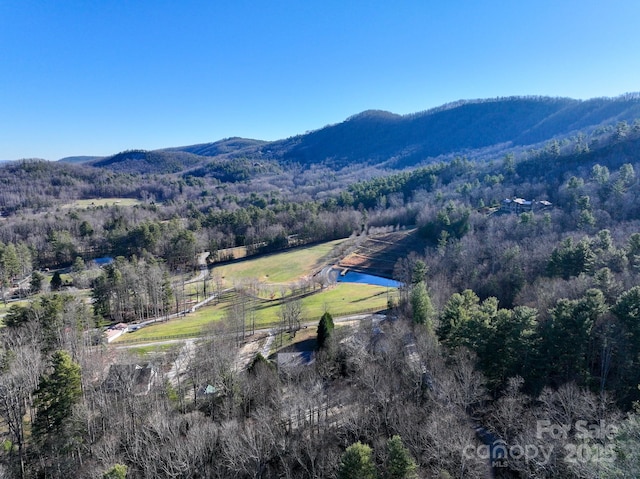 drone / aerial view with a mountain view and a rural view