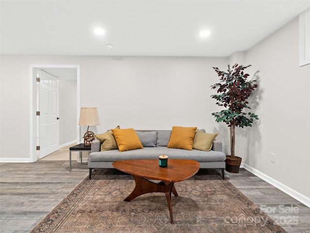 living room with wood-type flooring