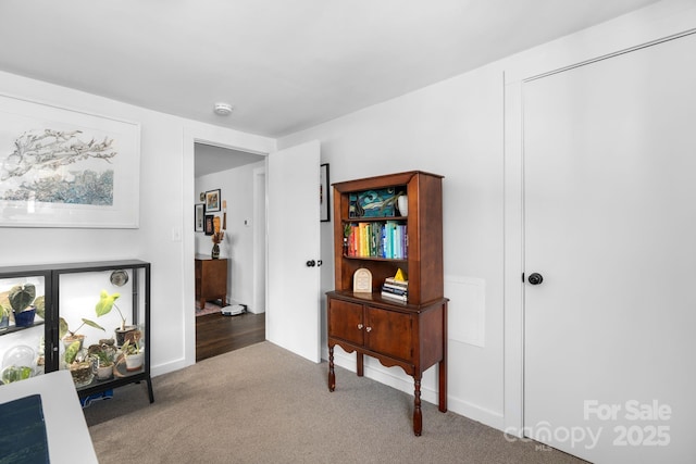 living area with carpet flooring