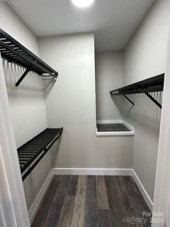 spacious closet with dark hardwood / wood-style flooring