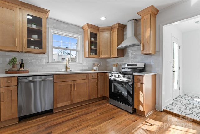 kitchen with wall chimney exhaust hood, a sink, light countertops, and stainless steel appliances