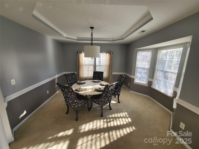 carpeted dining room with a raised ceiling