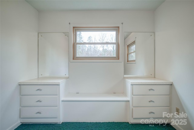 interior space with carpet floors