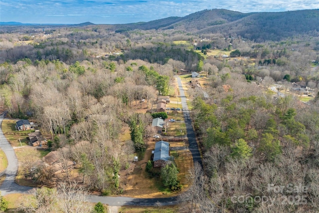 birds eye view of property with a mountain view