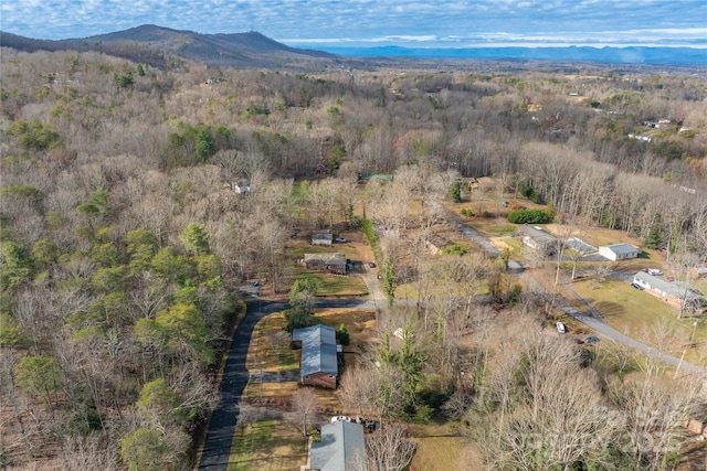 aerial view with a mountain view