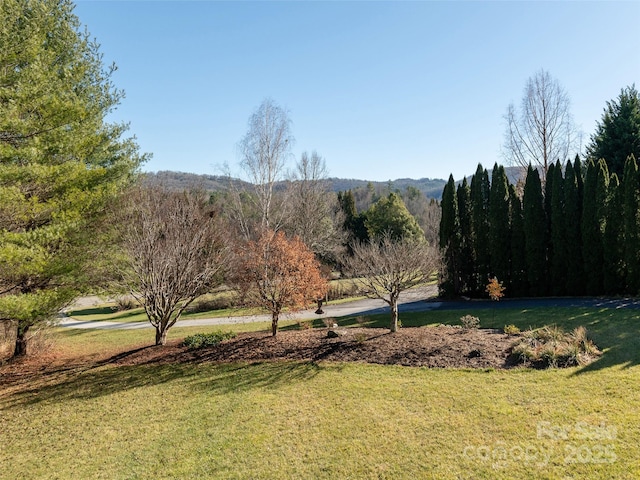 view of property's community featuring a lawn