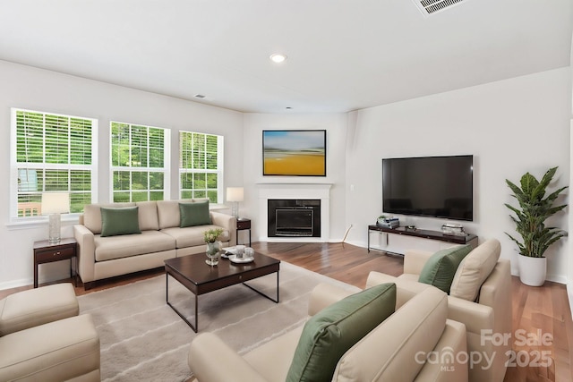 living room featuring light wood-type flooring