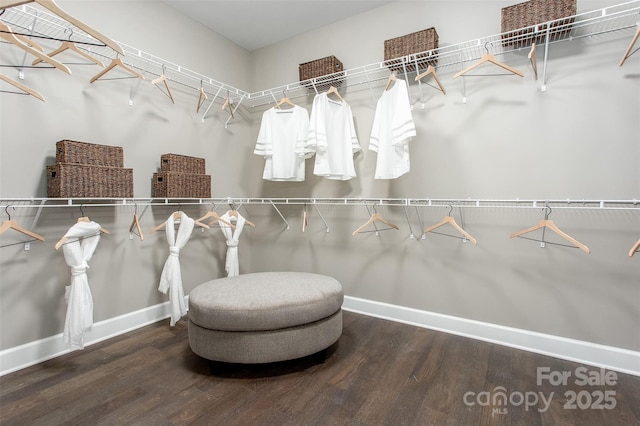 spacious closet featuring wood-type flooring