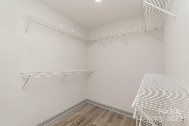 walk in closet featuring hardwood / wood-style floors