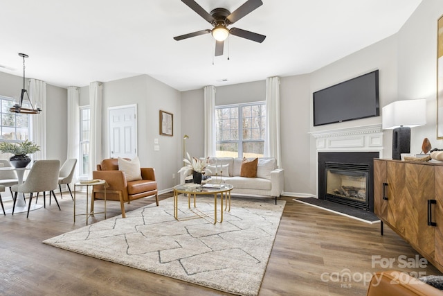 living room featuring wood-type flooring and ceiling fan with notable chandelier