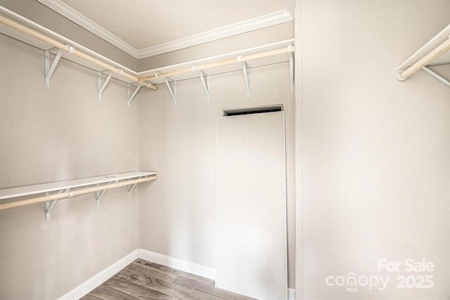 walk in closet featuring hardwood / wood-style floors