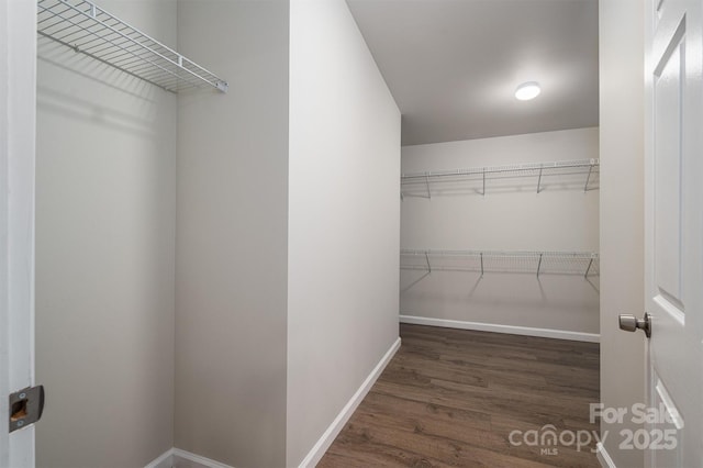 walk in closet featuring dark hardwood / wood-style floors