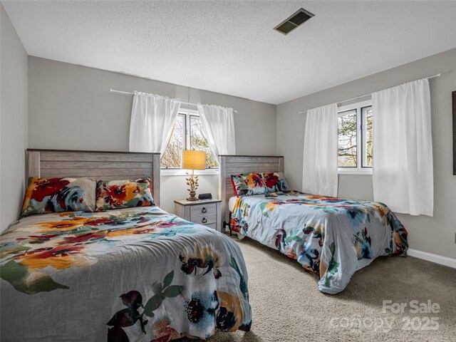 155 Quail Cove Blvd Unit 1615, Lake Lure, NC 28746 - bedroom featuring multiple windows, carpet flooring, and a textured ceiling