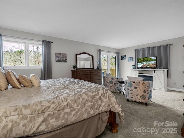 carpeted bedroom with multiple windows