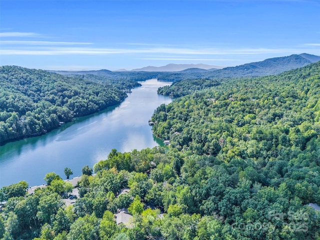 birds eye view of property featuring a water and mountain view