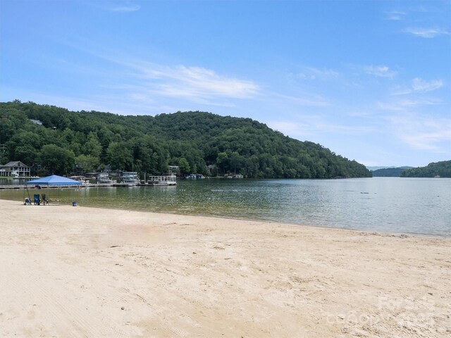 155 Quail Cove Blvd Unit 1615, Lake Lure, NC 28746 - water view featuring a forest