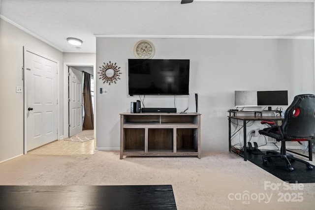 living room with carpet