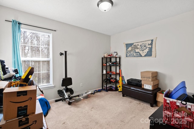 exercise room with carpet flooring