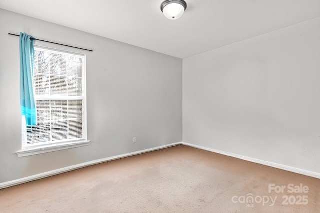 spare room featuring carpet flooring