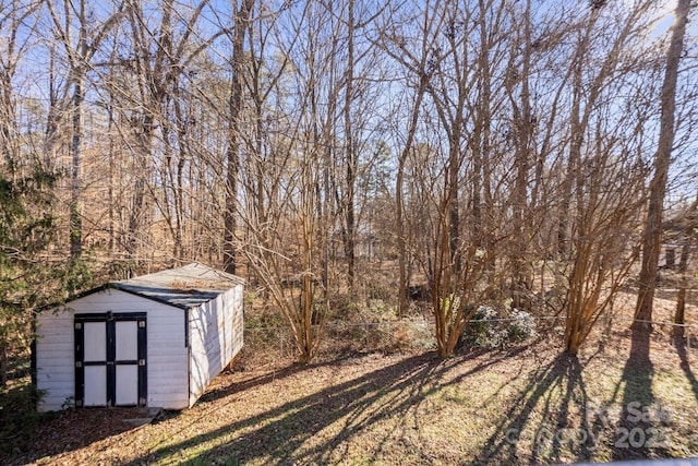 view of yard with a storage shed