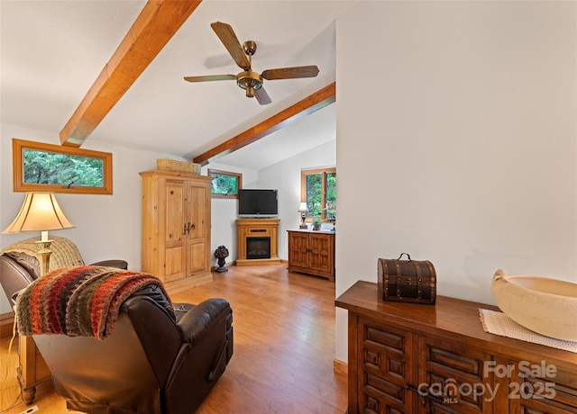 41 Cottontail Ln, Canton, NC 28716 - living area featuring light wood-type flooring, a fireplace, and ceiling fan
