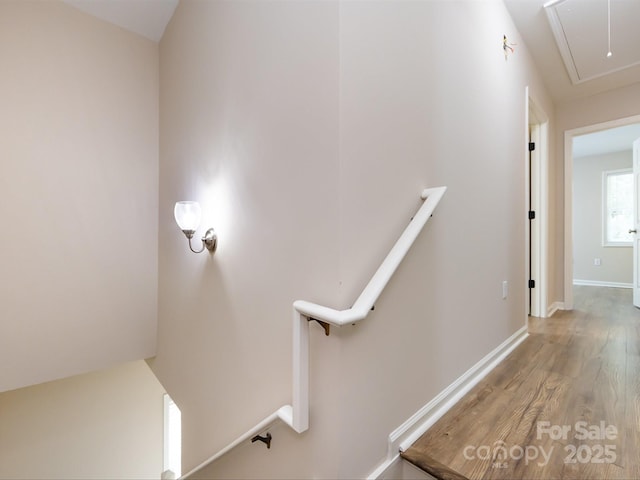 stairs featuring hardwood / wood-style floors