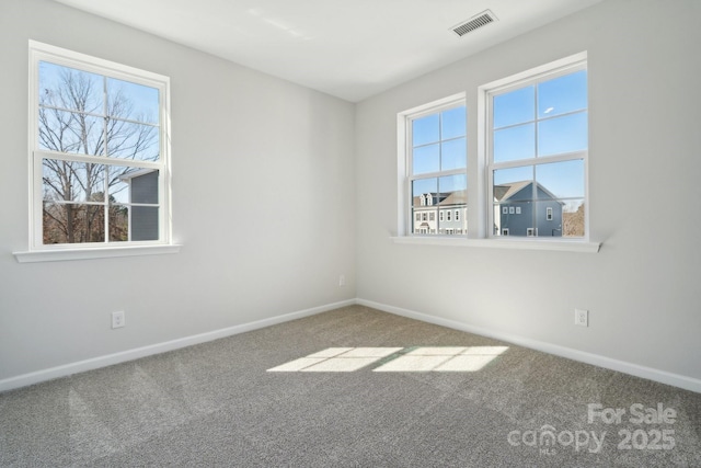 carpeted spare room with a healthy amount of sunlight