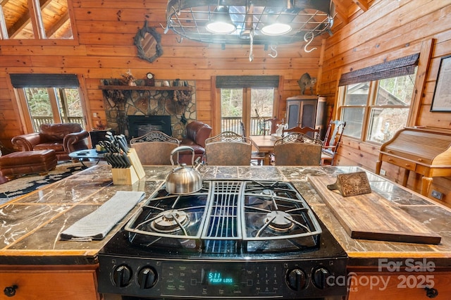 1694 Humpback Mountain Rd, Spruce Pine, NC 28777 - photo 10