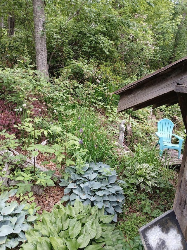 1694 Humpback Mountain Rd, Spruce Pine, NC 28777 - exterior view