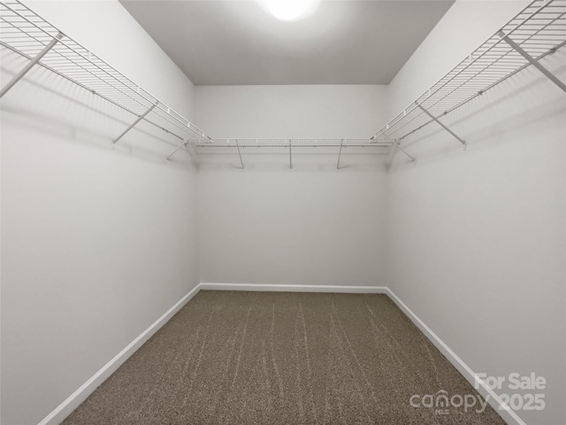 walk in closet featuring dark colored carpet