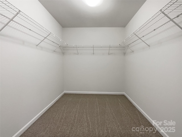 14916 Oregon Oak Ct, Mint Hill, NC 28227 - photo 21