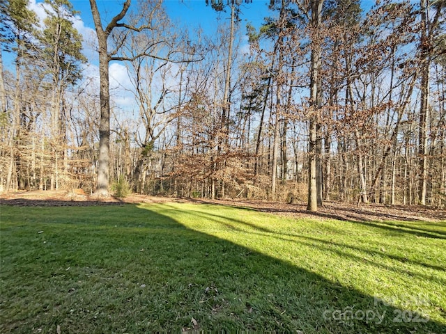 14916 Oregon Oak Ct, Mint Hill, NC 28227 - photo 26
