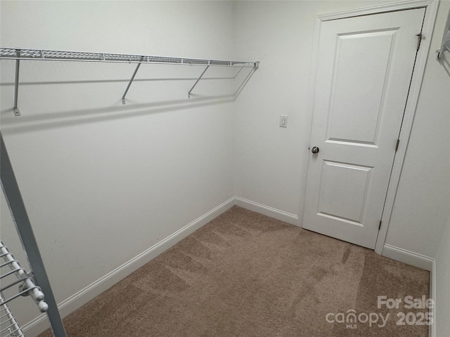 spacious closet with carpet flooring