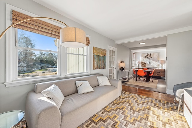 living room featuring hardwood / wood-style flooring