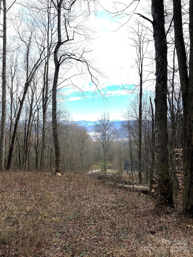 LOT2 Sage Ln, Waynesville NC, 28785 land for sale