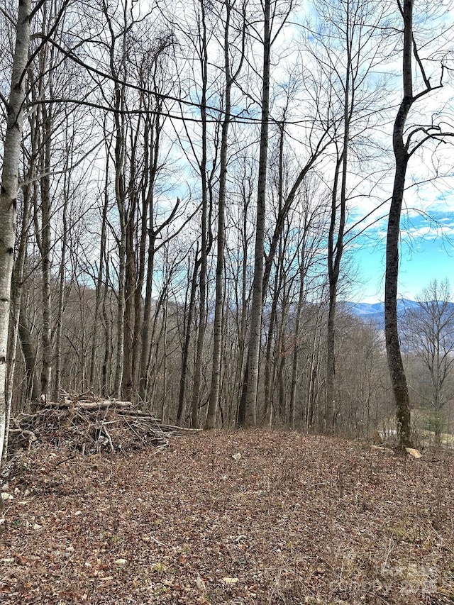 Listing photo 2 for LOT2 Sage Ln, Waynesville NC 28785