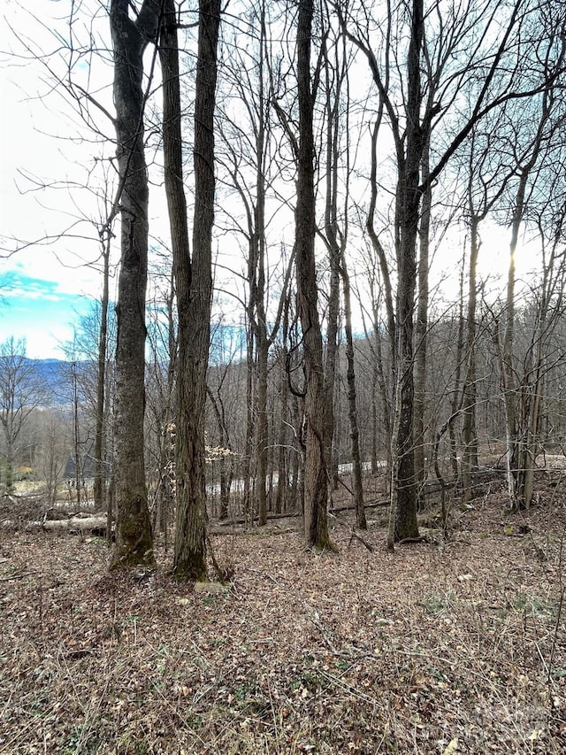 Listing photo 3 for LOT2 Sage Ln, Waynesville NC 28785