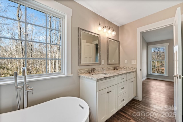 bathroom with a tub, wood-type flooring, and vanity