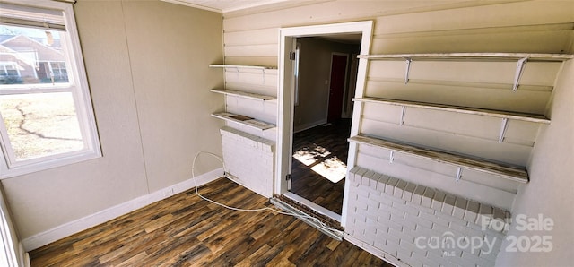 interior space featuring multiple windows and dark hardwood / wood-style floors