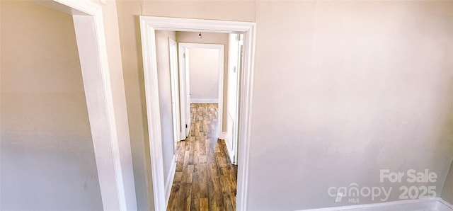 corridor featuring hardwood / wood-style floors