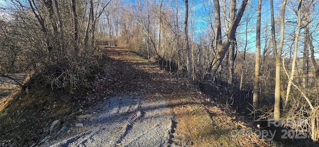 Listing photo 2 for LOT23 Asa Trl, Waynesville NC 28785