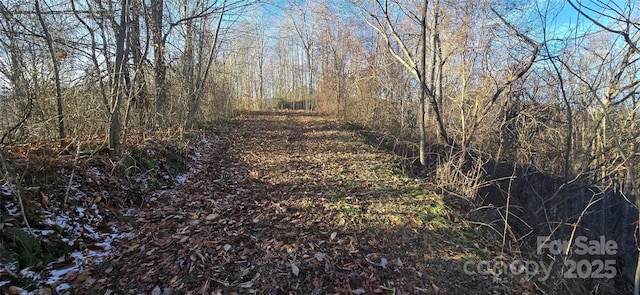 Listing photo 3 for LOT23 Asa Trl, Waynesville NC 28785