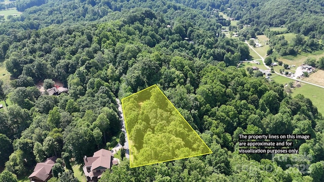 LOT23 Asa Trl, Waynesville, NC 28785 - photo 2
