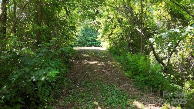 LOT23 Asa Trl, Waynesville, NC 28785 - photo 4