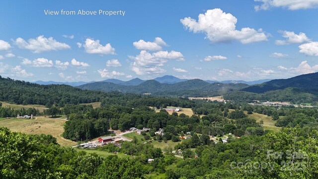 LOT23 Asa Trl, Waynesville, NC 28785 - photo 5