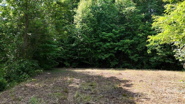 LOT23 Asa Trl, Waynesville, NC 28785 - photo 6